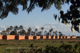 Image du Maroc Professionnelle de  Hormis les remparts de Marrakech qui sont construits entièrement en pisé selon une technique séculaire par l'Almoravide Ali Ben Youssef au début de XIIème siècle pour se protéger des attaques extérieures. La ville rouge dispose d’autres murailles qui protègent les parcs comme celle-ci qui clôturent les jardins de l'Agdal Ba Ahmed. Au fond la chaine de montagne du Haut Atlas enneigé surplombe la plaine du Haouz où de nombreux palmiers des jardins apportent à ce paysage un contraste très accentué, 3 Décembre 2012. (Photo / Abdeljalil Bounhar) 